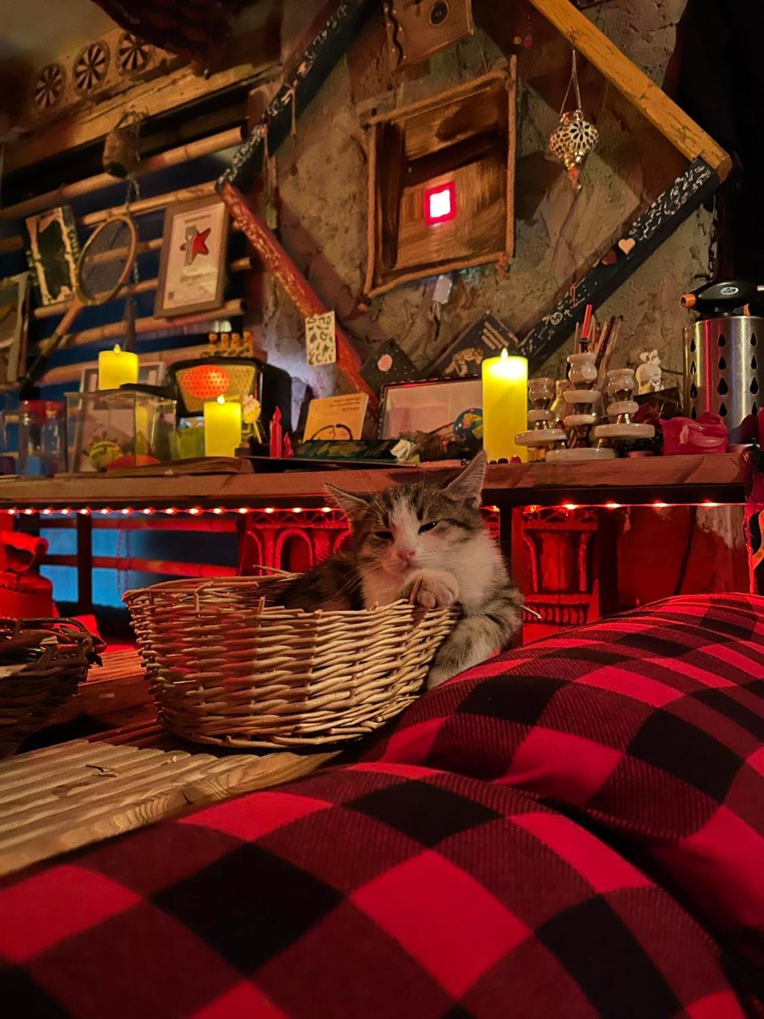 Ke&Ra Guestsroom ゴリ エクステリア 写真